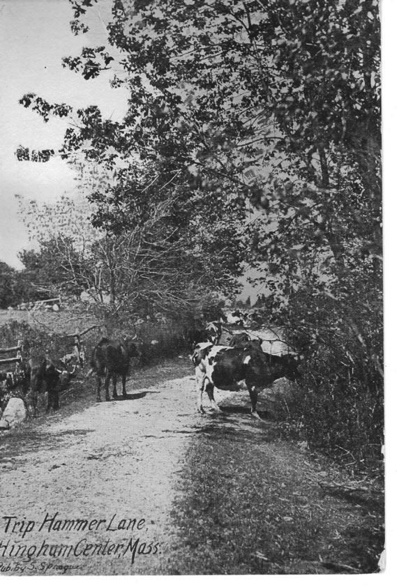 Trip Hammer Lane